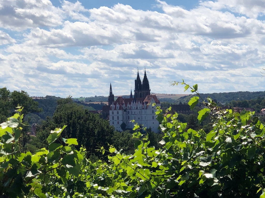 Weinberg mit Blick auf Schloss und Kirche von Meißen
