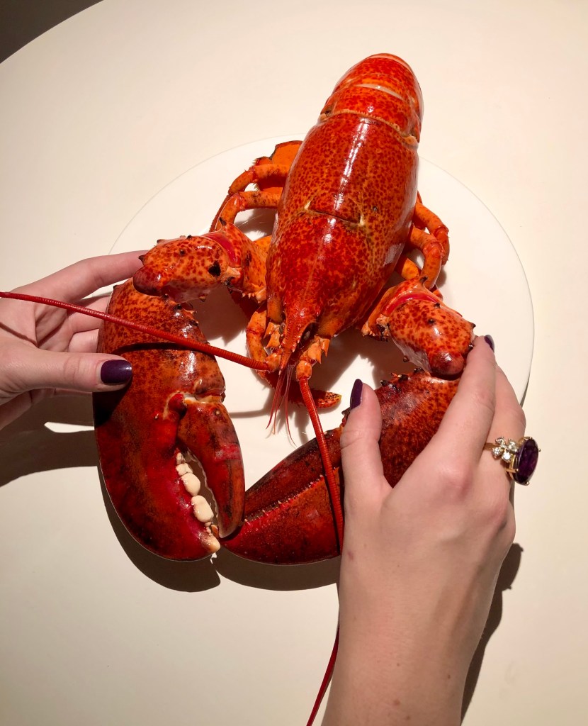Frauenhände mit rotem Hummer